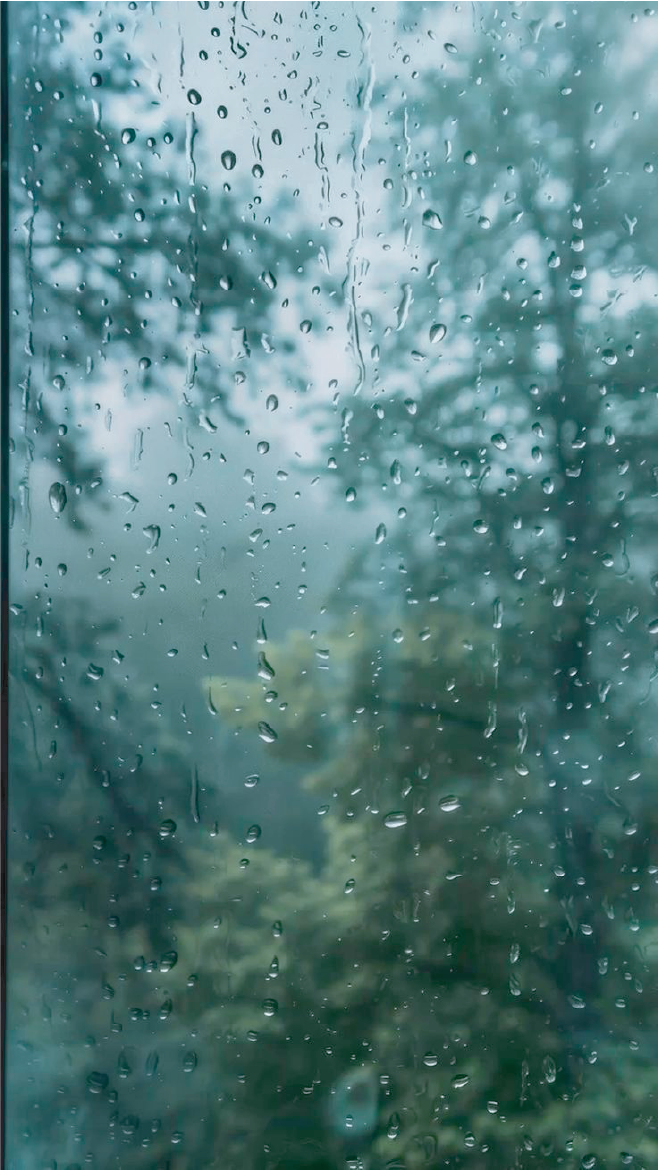 Summer Rain