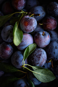 Plum | 280gr Vela Aromática