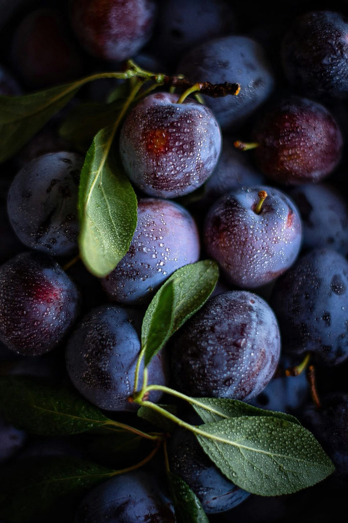Plum | 280gr Vela Aromática