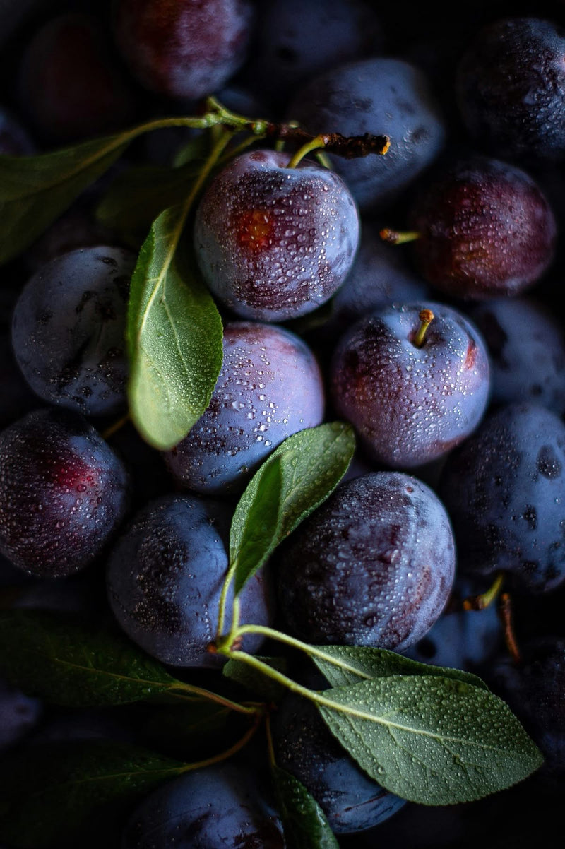 Plum | 280gr Vela Aromática