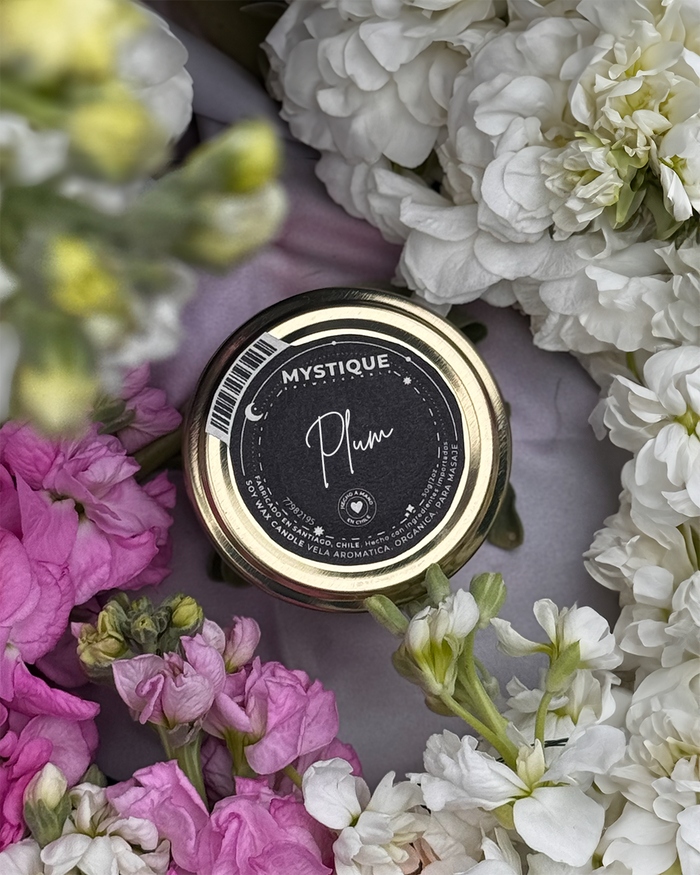 Plum | 50gr Vela Aromática