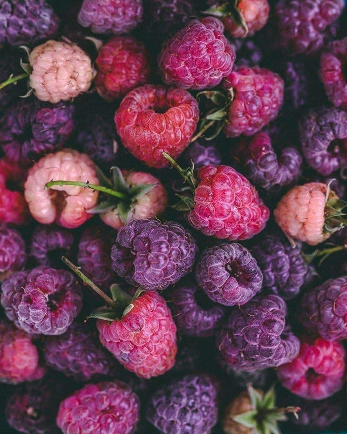 Frambuesa Pimienta | 280gr Vela Aromática