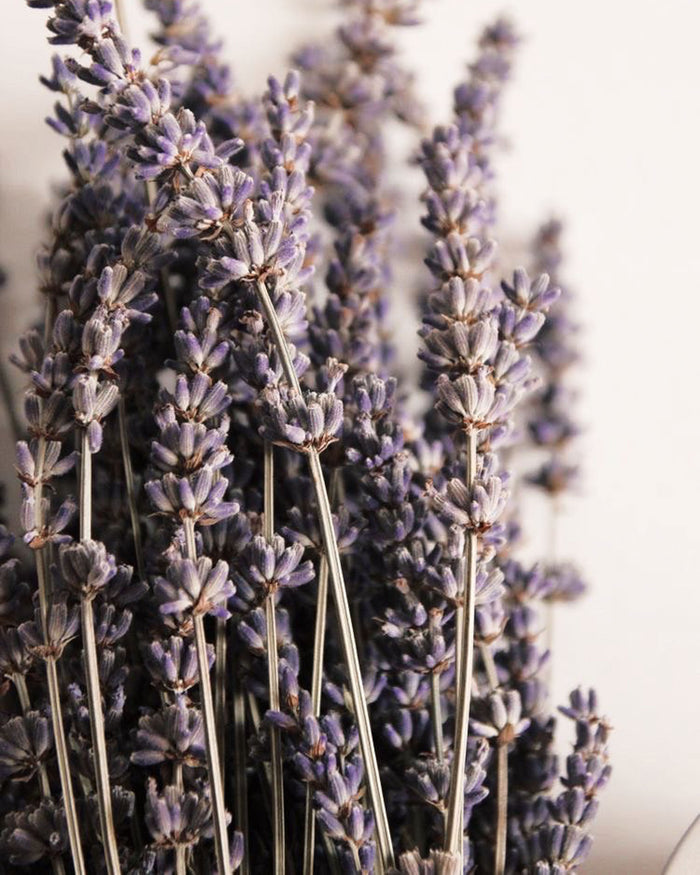 Lavanda | 280gr Vela Aromática