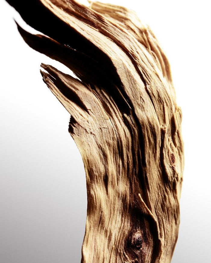 Sandal Wood | 280gr Vela Aromática